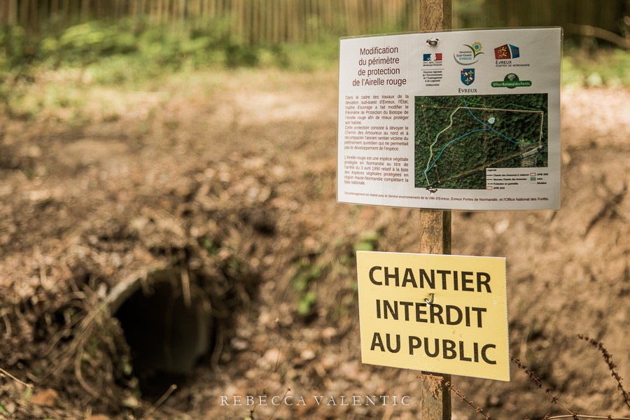 Rebecca_Valentic_Photographe_20180717_00073